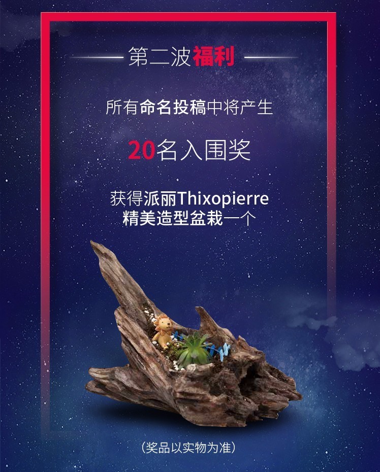 Thixopierre征名奖品2